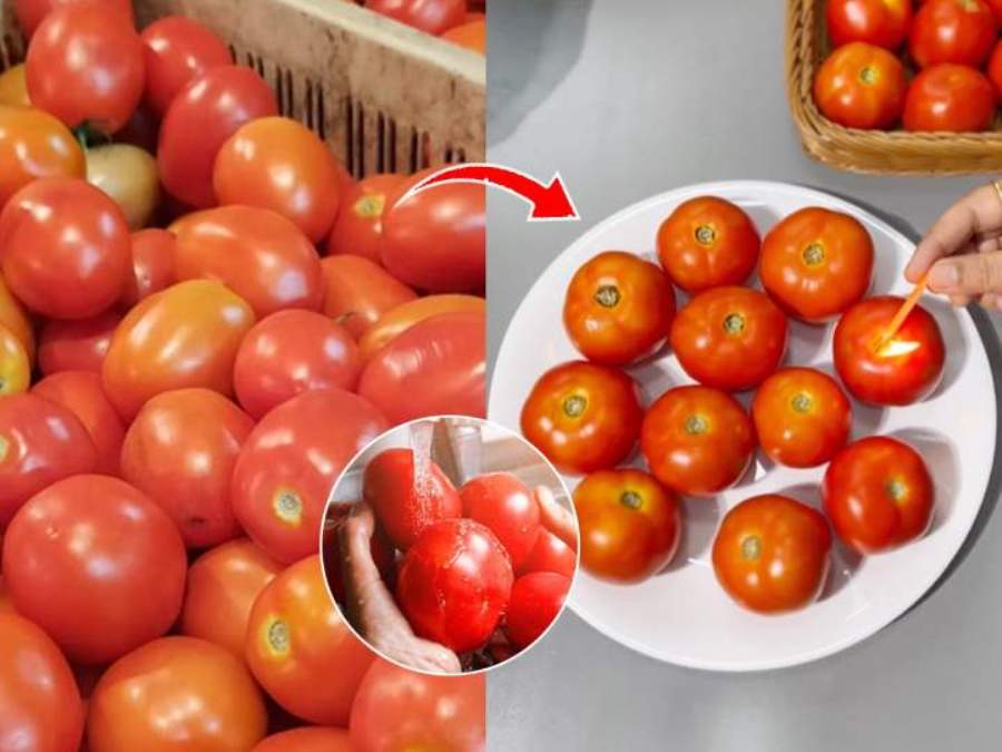 टोमॅटो दीर्घकाळ टिकवून ठेवण्यासाठी या सोप्या ट्रिकचा वापर करा.!