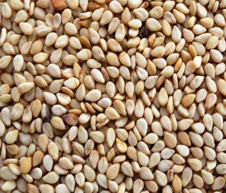 हिवाळ्यात पांढरे तिळ खाण्याचे फायदे.!