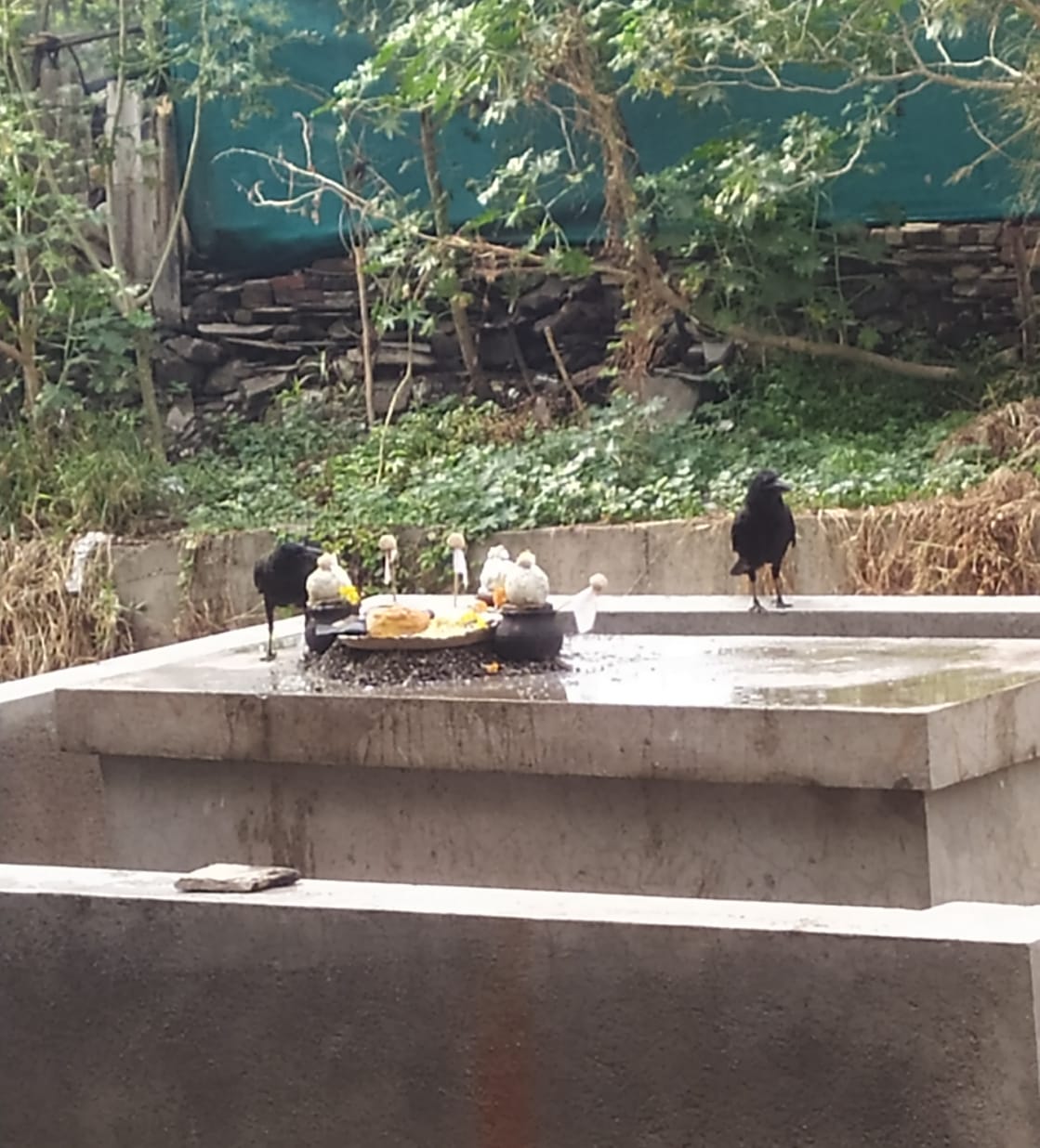 पिंडाला शिवलाय कावळा…
