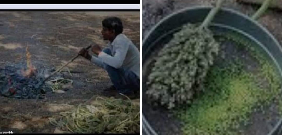 दिवाई…