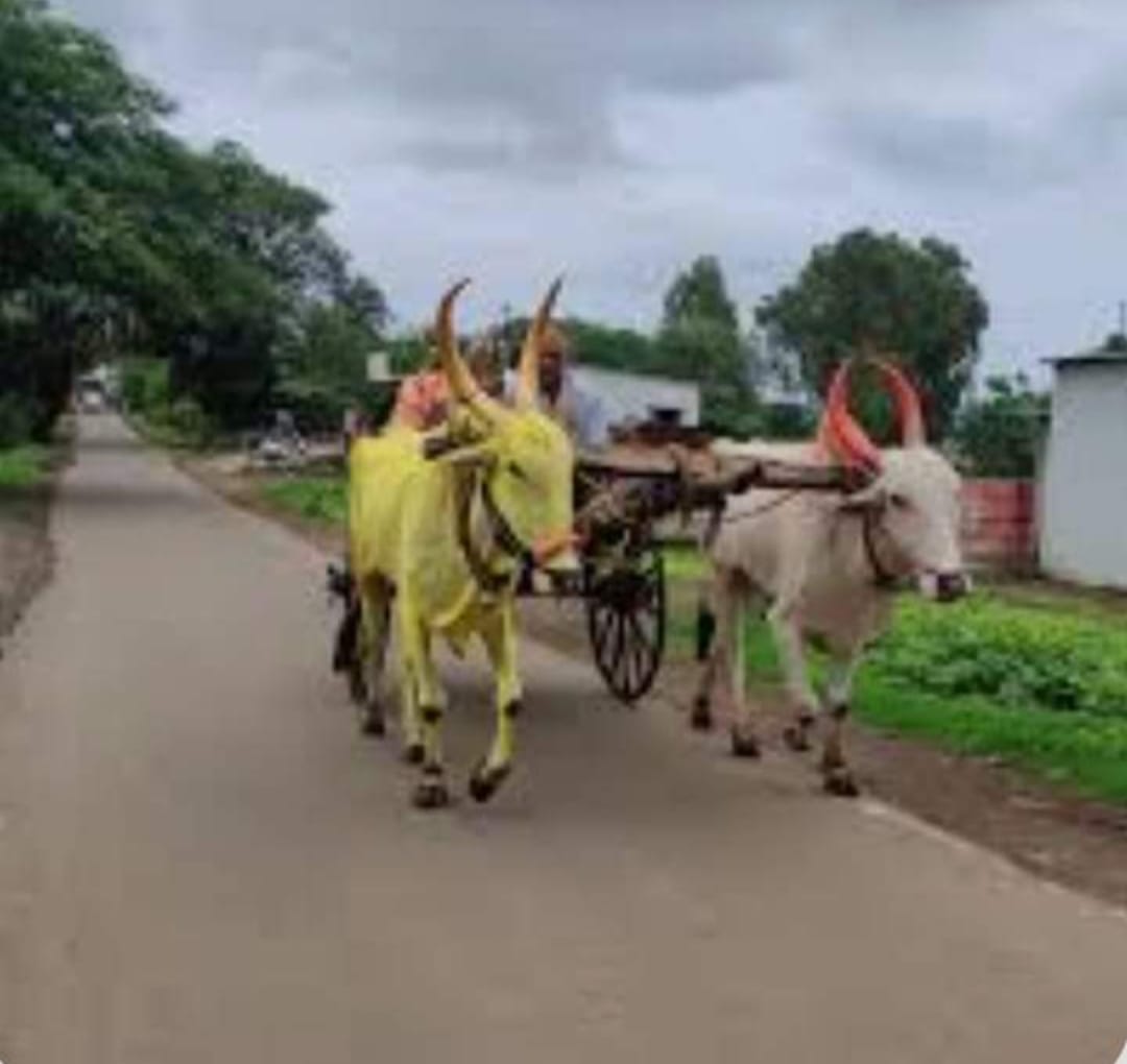 जत्रा.!