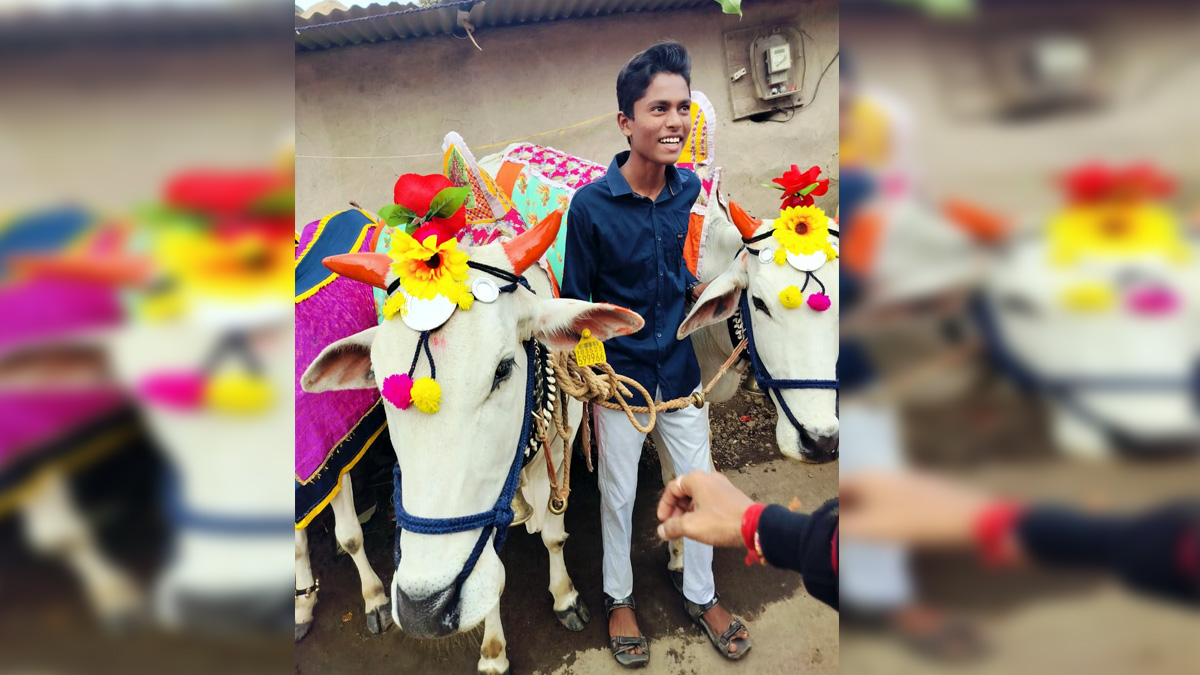 पोळा सण..काल,आज आणि उद्या