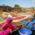 अंगण : पूर्वीची जीवनशैली आणि हरवलेली माणुसकीची उब