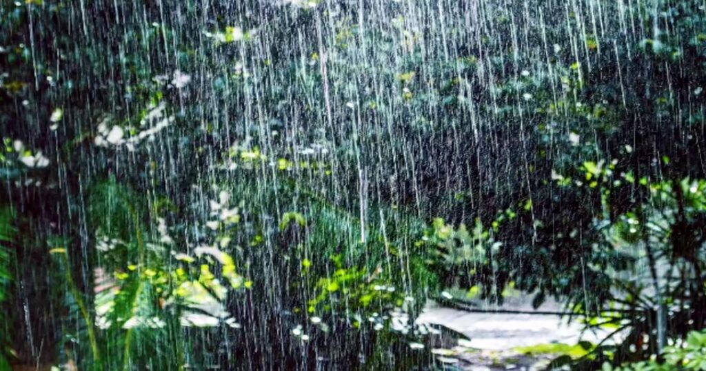 राज्यभरात मुसळधार पाऊस | Maharashtra Weather Update | Marathwada Rain Alert