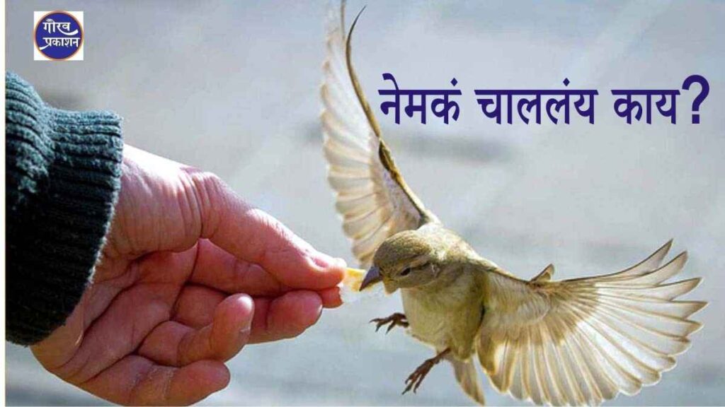 अशोक किसन पवार यांची “नेमकं चाललंय काय” मराठी कविता | Emotional Marathi Poem