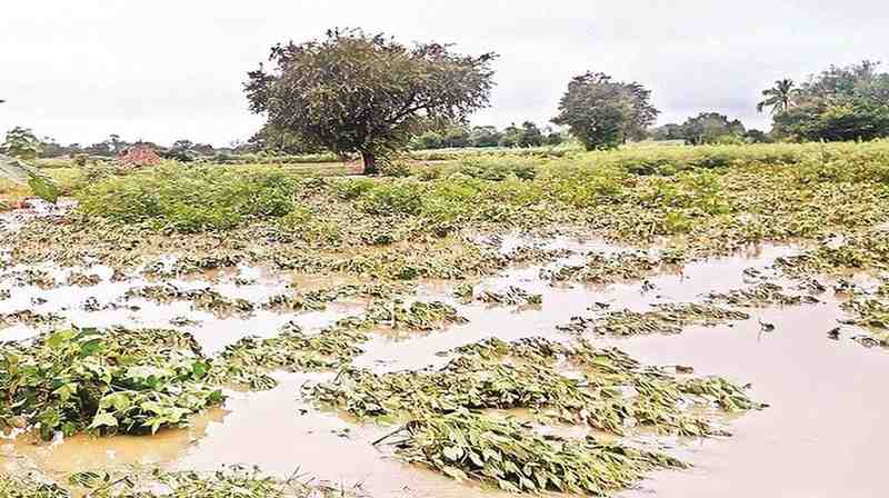 ओला दुष्काळामुळे पाण्याखाली गेलेली शेती आणि नुकसान झालेली घरे