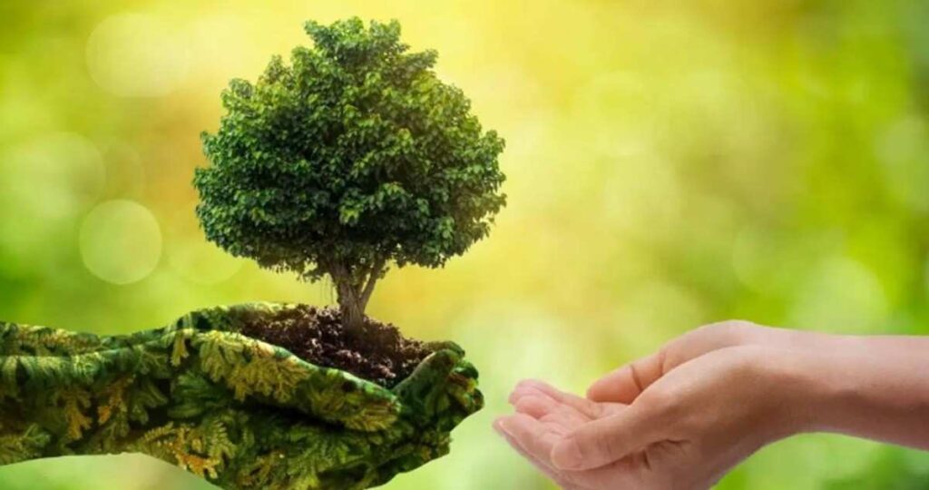 प्रिय वसुंधरा – निसर्ग आणि पृथ्वीवरील भावनिक मराठी पत्र