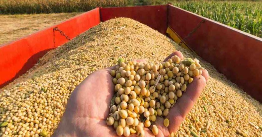 बँकेत ठेवला चेक… आणि तोच झाला ‘चोरांचा बोनस’! सोलापुरात शेतकऱ्याला ४ लाखांचा फटका, CCTVने उघड केला कलियुगाचा खेळ!