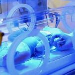 जिद्दीची जादूची पेटी!