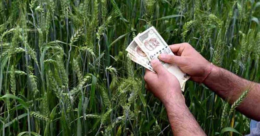 कर्जमाफी: तात्पुरता दिलासा, कायमस्वरूपी नव्हे!