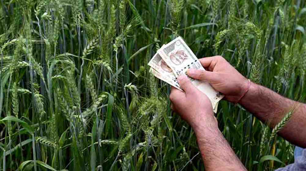 कर्जमाफी: तात्पुरता दिलासा, कायमस्वरूपी नव्हे!