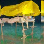 मचानवरून हरभऱ्याच्या वावरात; हरवलेल्या ग्रामीण दिवसांची आठवण.!