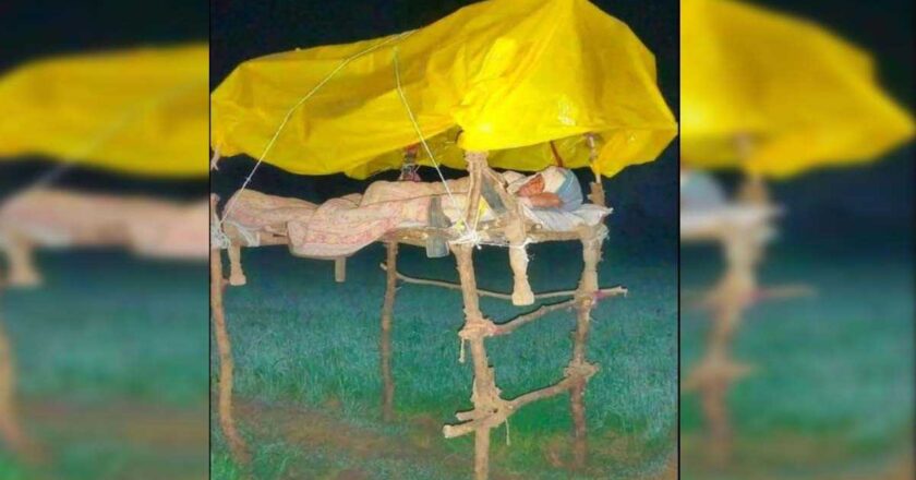 मचानवरून हरभऱ्याच्या वावरात; हरवलेल्या ग्रामीण दिवसांची आठवण.!