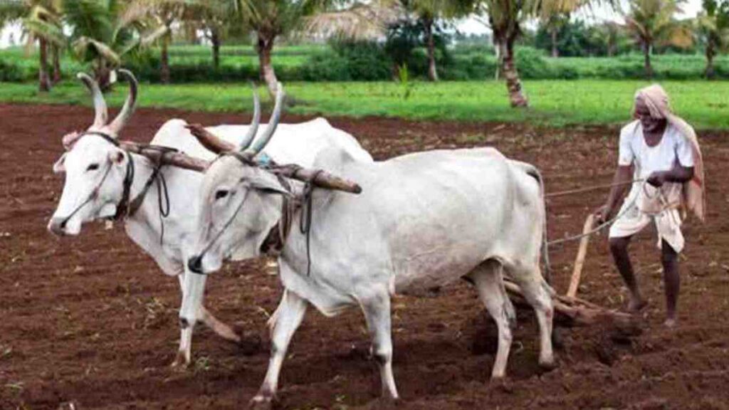 "सटवाई कविता – शेतकऱ्याच्या नशिबावर आधारित आबासाहेब कडू यांची मराठी कविता"