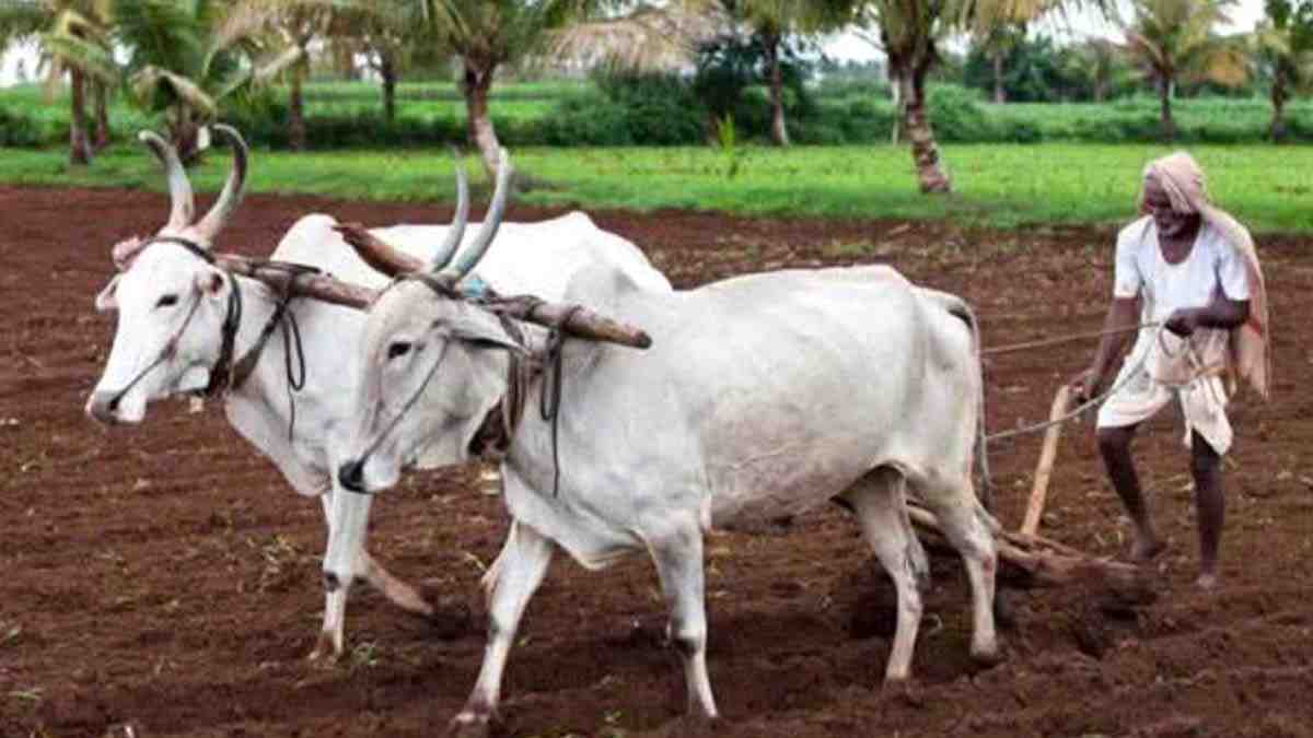"सटवाई कविता – शेतकऱ्याच्या नशिबावर आधारित आबासाहेब कडू यांची मराठी कविता"