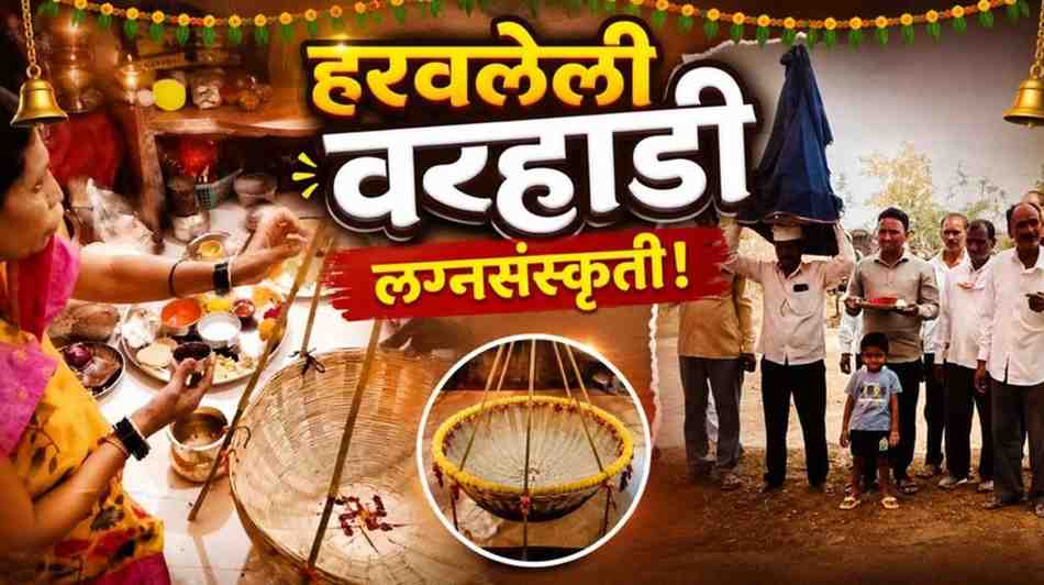 वऱ्हाडातील पारंपरिक लग्नसमारंभातील जेवणार पाटी, पंगतीचे जेवण आणि न्हानोरा विधी दर्शविणारे दृश्य