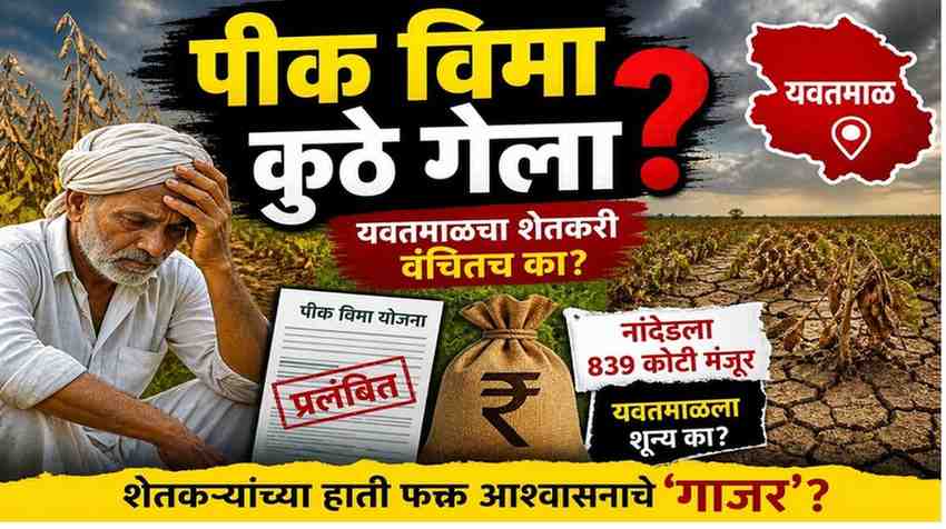 यवतमाळ जिल्ह्यात पीक विमा न मिळाल्याने संतप्त शेतकरी आंदोलन करताना