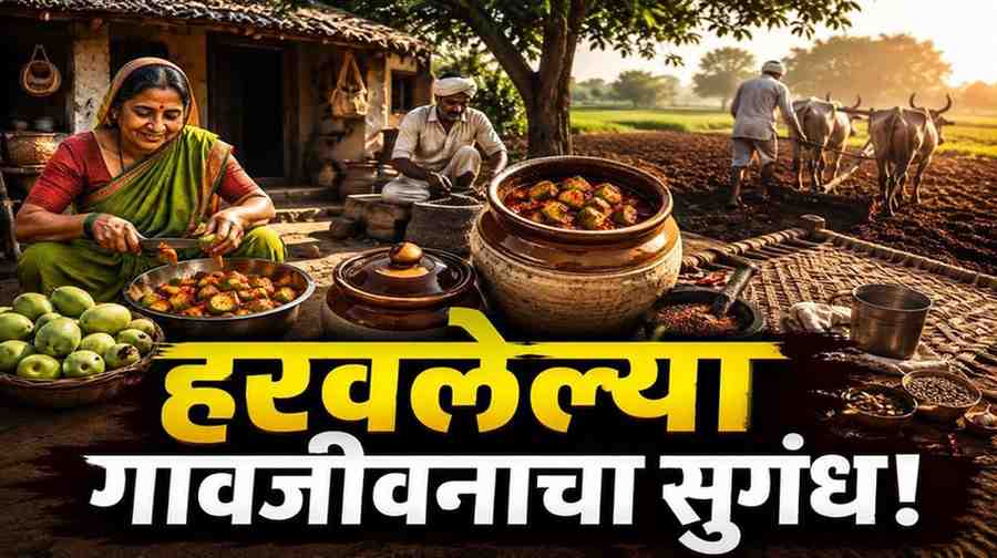 रायतं : कैरीच्या लोणच्यापासून शेतकऱ्यांच्या कष्टांपर्यंत… हरवलेल्या ग्रामीण जीवनाचा सुगंधी प्रवास.!