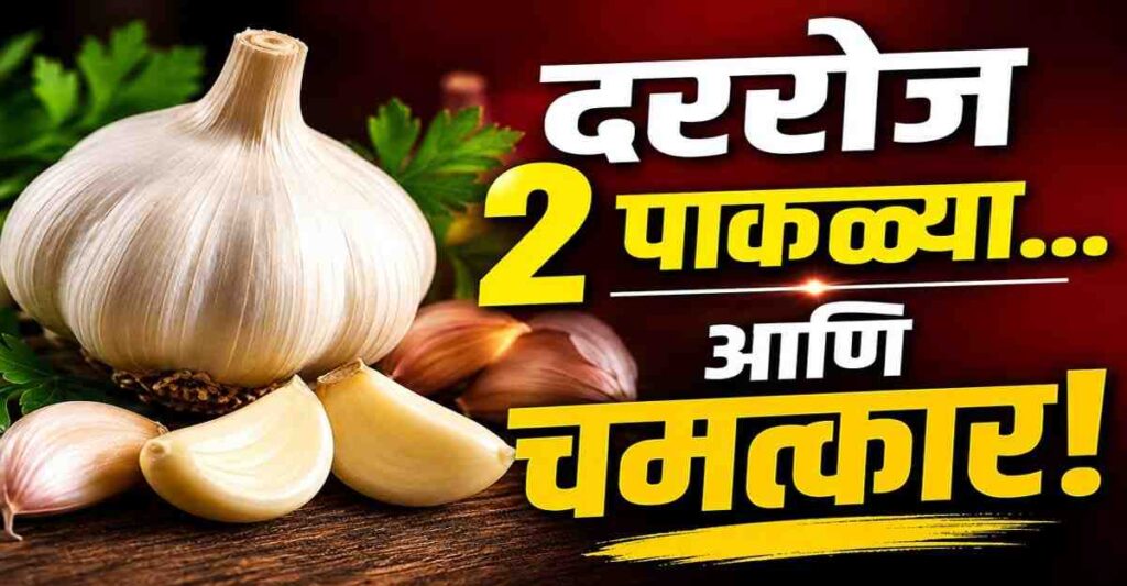 लसूण खाण्याचे आरोग्यदायी फायदे दर्शवणारे ताजे लसूण आणि लसणाच्या पाकळ्यांचे चित्र