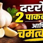 लसूण: स्वयंपाकघरातील साधा घटक की आरोग्याचा नैसर्गिक खजिना?