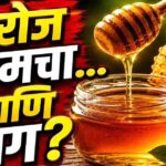जाणून घ्या मधाचे आरोग्यदायी फायदे; रोजच्या आहारात मधाचा समावेश का करावा?