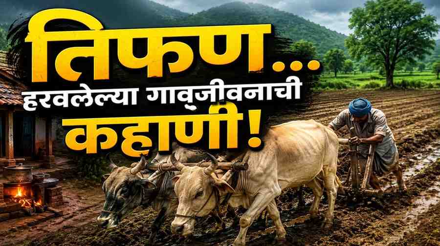 तिफण चालवताना शेतात बैलजोडीसोबत काम करणारा शेतकरी आणि पावसाळ्यातील हिरवेगार ग्रामीण दृश्य