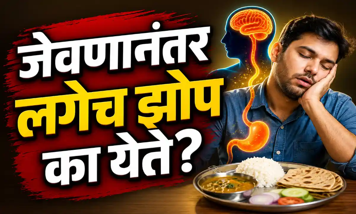 जेवण केल्यानंतर झोप येत असलेली व्यक्ती आणि पचनक्रियेचे प्रतीकात्मक चित्र