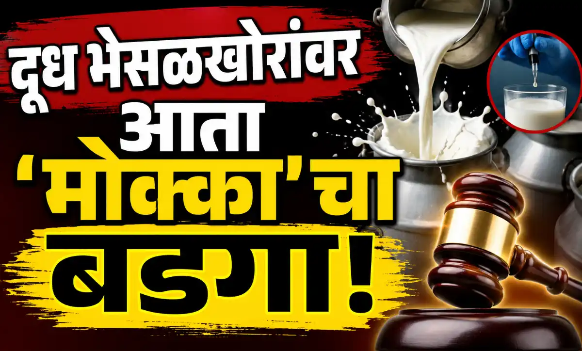 दूध भेसळखोरांवर मोक्का कारवाईच्या एकनाथ शिंदेंच्या सूचना
